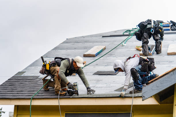 Professional Roof Replacement technician working in Stanton, MI